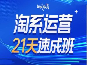淘系运营21天速成班35期，年前最后一波和2025方向-网赚36计