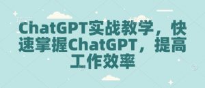 ChatGPT实战教学,快速掌握ChatGPT,提高工作效率-网赚36计