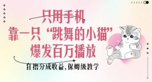 只用手机靠一只“跳舞的小猫”爆发百万播放,狂撸分成收益,保姆级教学-网赚36计