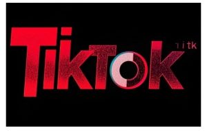 TikTok ads投流秘籍,涵盖tiktok整体投放思路,教你搭建测试计划-网赚36计