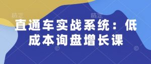 直通车实战系统:低成本询盘增长课,让个人通过技能实现升职加薪,让企业低成本获客,订单源源不断-网赚36计