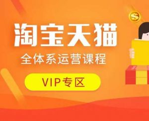 淘宝天猫全体系运营课程：店铺全系运营、动销玩法、付费推广、流量提升、擦边球玩法等等-网赚36计