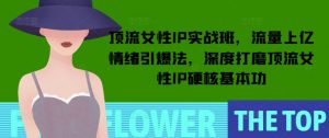 顶流女性IP实战班,流量上亿情绪引爆法,深度打磨顶流女性IP硬核基本功-网赚36计