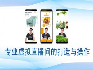 个人虚拟直播间的搭建与操作,专业虚拟直播间的打造与操作-网赚36计