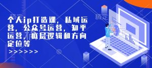 个人ip打造课，私域运营，公众号运营，知乎运营，底层逻辑和方向定位等-网赚36计