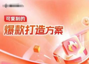 天猫电商爆款运营，可复制的爆款打造方案(线下内训课录音+字幕)-网赚36计