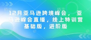 12月亚马逊跨境峰会, 亚马逊峰会直播,线上特训营基础版,进阶版-网赚36计