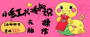 小红书冷知识账号，无脑复制粘贴，5分钟即可变现3张-网赚36计