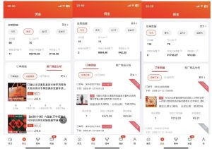 2025最新京东蓝海项目，0 门槛日入 1k+，小白宝妈轻松上手【揭秘】-网赚36计