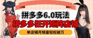 拼多多虚拟商品暴利6.0玩法,轻松实现月入过W-网赚36计
