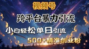 跨平台暴力引流,私域完美闭环,日引500+精准创业粉-网赚36计