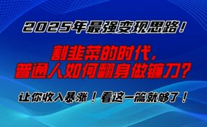 2025年最强变现思路,割韭菜的时代, 普通人如何翻身做镰刀?【揭秘】-网赚36计