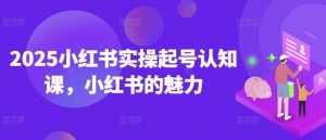 2025小红书实操起号认知课,小红书的魅力-网赚36计