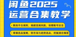 2025闲鱼电商运营全集,2025最新咸鱼玩法-网赚36计