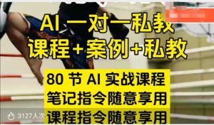 AI指令实战课,课程+案例,80节AI实战课程,笔记指令随意享用,课程指令随意享用-网赚36计