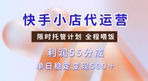 快手小店代运营3.0,模式新升级,收益55分,稳定单日5张【揭秘】-网赚36计