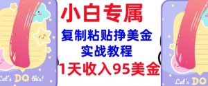 复制粘贴挣美金，0门槛，1天收入95美刀，3分钟学会，内部教程(首次公开)-网赚36计