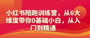 小红书陪跑训练营，从6大维度带你0基础小白，从入门到精通-网赚36计