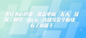 小红书必修课，覆盖电商，无人，获客，种草，mcn，直播等多个板块，看了就能干-网赚36计