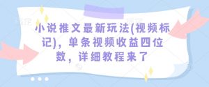小说推文最新玩法(视频标记)，单条视频收益四位数，详细教程来了-网赚36计