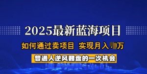 2025蓝海项目，普通人如何通过卖项目，实现月入过W，全过程【揭秘】-网赚36计