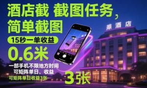 酒店截图任务,简单截图,15秒一单收益0.6米,一部手机不限地方时间,可矩阵单日收益3张【揭秘】-网赚36计
