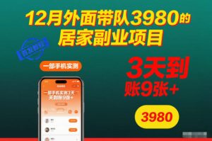 12月外面带队3980的居家副业项目，一部手机实测3天到账9张+，首发教程【揭秘】-网赚36计