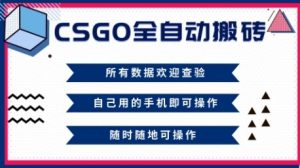 CSGO全自动搬砖，年底钱回家好项目，当天可拿到结果，新手小白轻松月入1W+【揭秘】-网赚36计