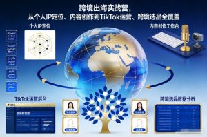 跨境出海实战营，从个人IP定位、内容创作到TikTok运营、跨境选品全覆盖-网赚36计