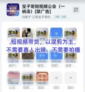 宝子哥头部团队短视频带货，以混剪为主，不需要真人出镜，不需要拍摄【更新12月】-网赚36计