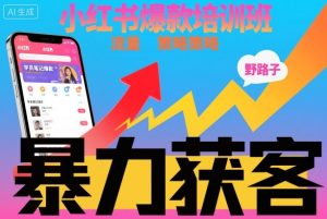 小红书爆款培训班，小红书获客野路子流量打法，暴力持续获客-网赚36计