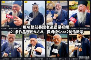 用AI复刻暴躁老道语录视频,21条作品涨粉8.8W,保姆级Sora2制作教学-网赚36计