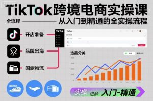 TikTok跨境电商实操课，从入门到精通的全实操流程-网赚36计