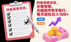问卷调查项目，长期零撸，无脑操作有手就行，每天轻松日入100+【揭秘】-网赚36计
