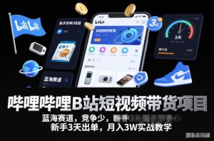 哔哩哔哩B站短视频带货项目，蓝海赛道，竞争少，新手3天出单，月入3W实战教学-网赚36计