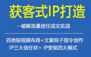 获客型IP打造，破解流量信任成，四类短视频布局+文案钩子指令创作IP三大信任状+IP变现四大模式-网赚36计