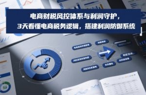 电商财税风控体系与利润守护，3天看懂电商税务逻辑，搭建利润防御系统-网赚36计