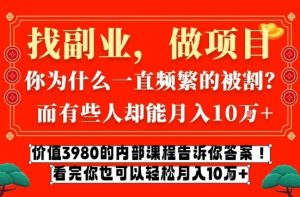 价值3980的网创内部课程,告诉你互联网创业月入10个W的秘密【揭秘】-网赚36计