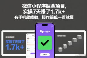 微信小程序掘金项目，实操7天賺了1.7k+，有手机就能做，操作简单一看就懂【揭秘】-网赚36计