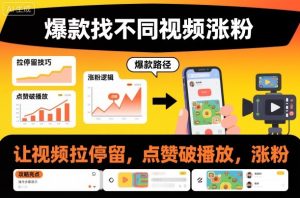 爆款找不同视频涨粉，让视频拉停留，实现点赞，破播放，涨粉-网赚36计