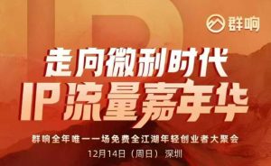 2025ip嘉年华万人12月14深圳线下课，走向微利时代，IP流量嘉年华，实操性极强的商业干货课-网赚36计
