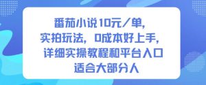 番茄小说10米每单,实拍玩法,0成本好上手,详细实操教程和平台入口适合大部分人-网赚36计
