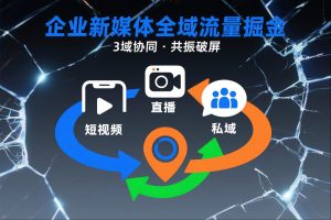 短视频全域商业模式，企业新媒体全域流量掘金，3域协同，共振破屏，短视频-直播-私域-地域-网赚36计