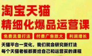 淘宝天猫精细化爆品运营课，免费流量打法-付费广告放大-利润增长-三大核心痛点，一次全部解决-网赚36计