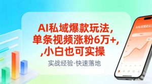 AI私域爆款玩法，单条视频涨粉6W+，小白也可实操-网赚36计