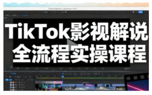 TikTok影视解说全流程实操,手把手教你打造TK爆款解说视频-网赚36计