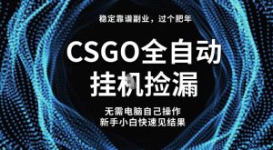 【稳定副业】全球最热门游戏CSGO全自动捡漏,最新玩法,新手小白日入5张+【揭秘】-网赚36计
