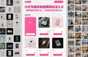 小红书虚拟矩阵玩法3.0,铺货铺笔记型打法,少款狂怼笔记型打法-网赚36计