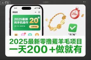 2025最新零撸薅羊毛项目，纯手机操作，20秒一单，无任何门槛，一天200+做就有【揭秘】-网赚36计