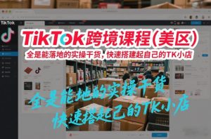 TikTok跨境课程（美区），全是能落地的实操干货，快速搭建起自己的TK小店-网赚36计